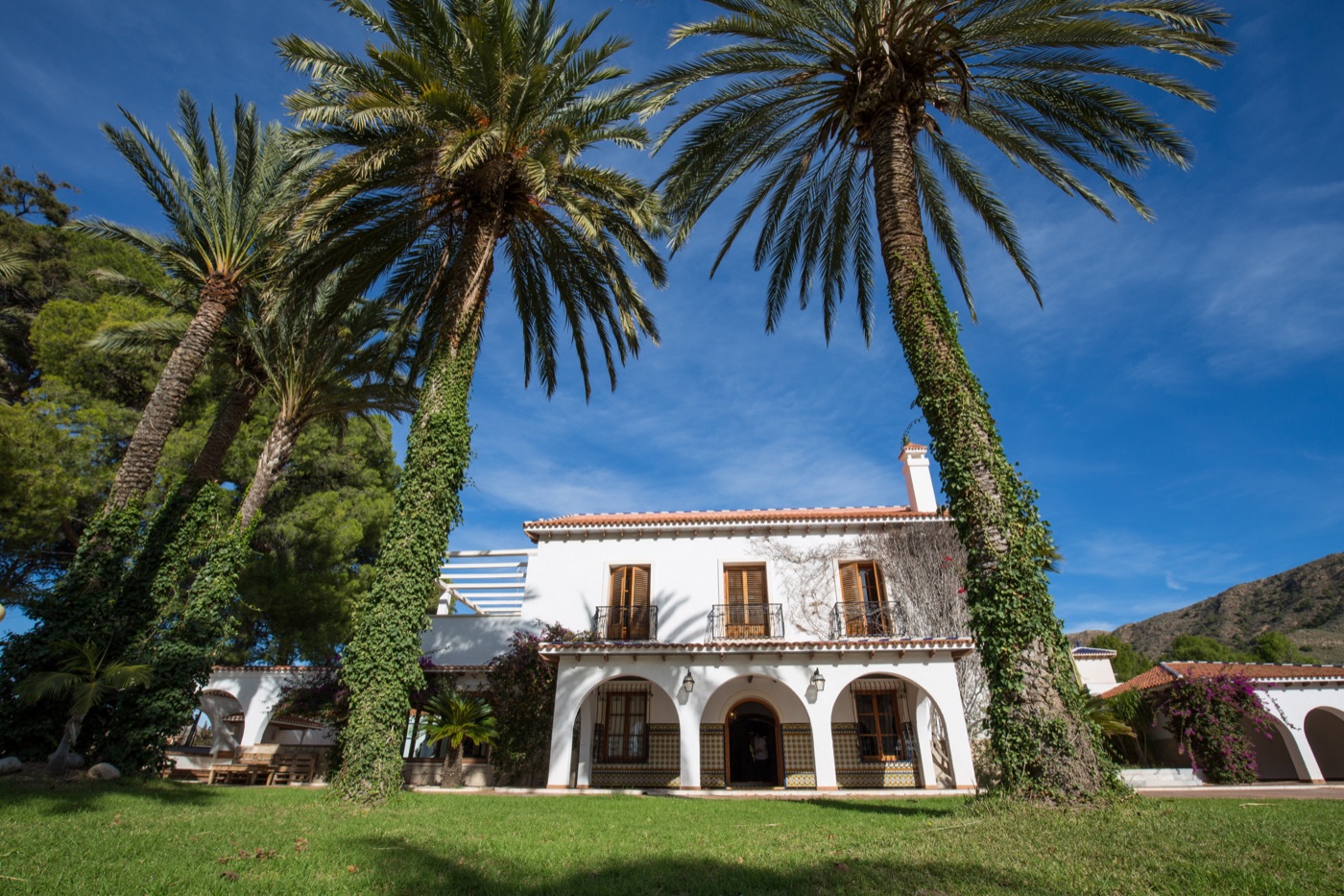 Fachada y palmeras de Casa Imas, alquiler vacacional en Novelda